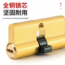 锁芯（特殊号））